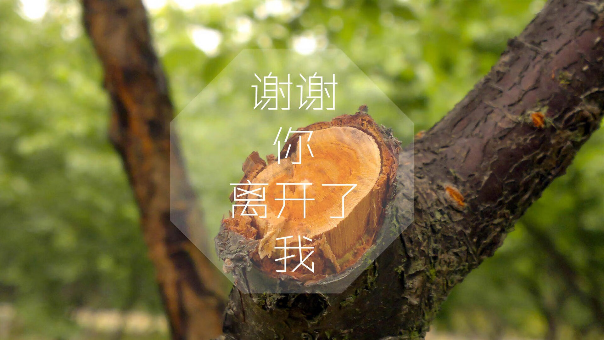 克洛普宣布离开利物浦，结束九年执教生涯，克洛普执教利物浦成绩