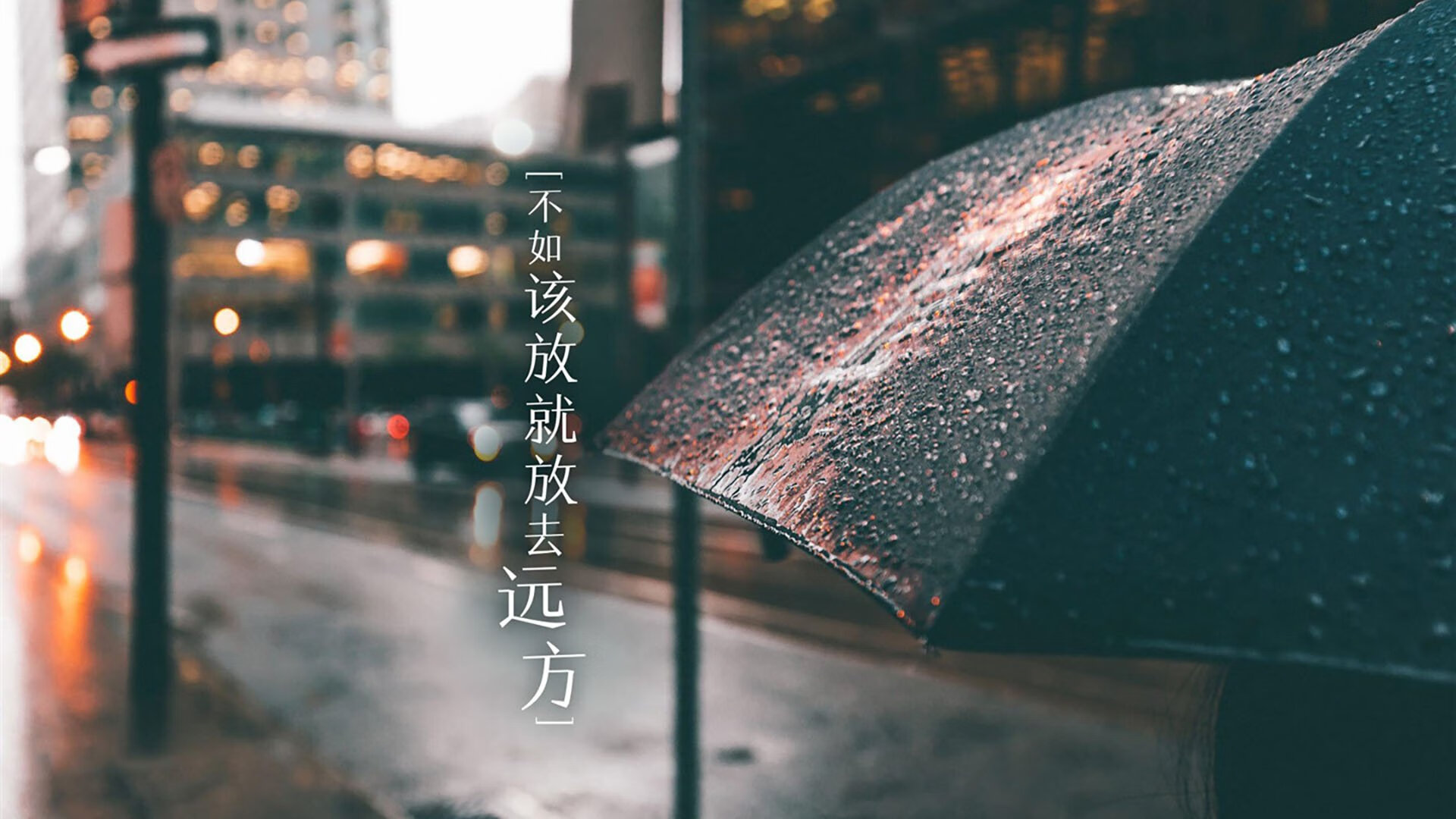 拜仁锋线新星成绩斐然，未来可期，拜仁新秀
