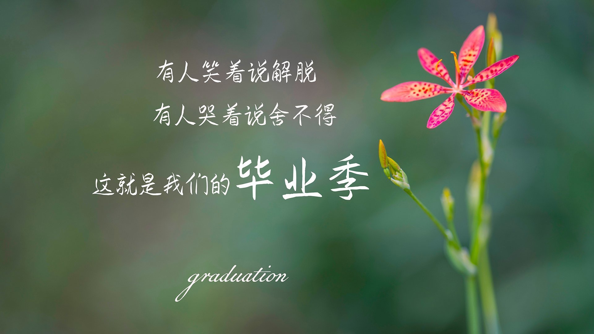 九游9游-南特是否能依靠边路冲击制造威胁，南特是否能依靠边路冲击制造威胁呢