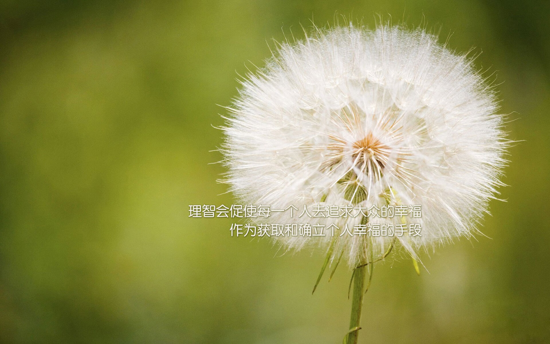 九游娱乐-乒乓球战术组合模型实现智能分析匹配，乒乓球组合技术