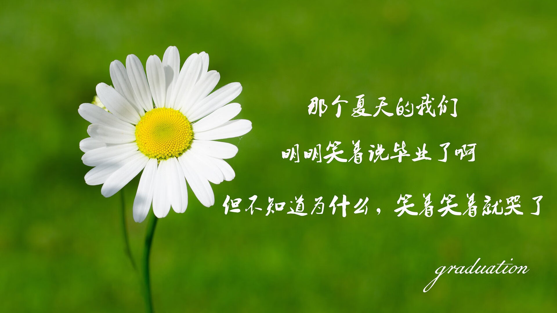 出发反应比拼：中国选手微弱领先