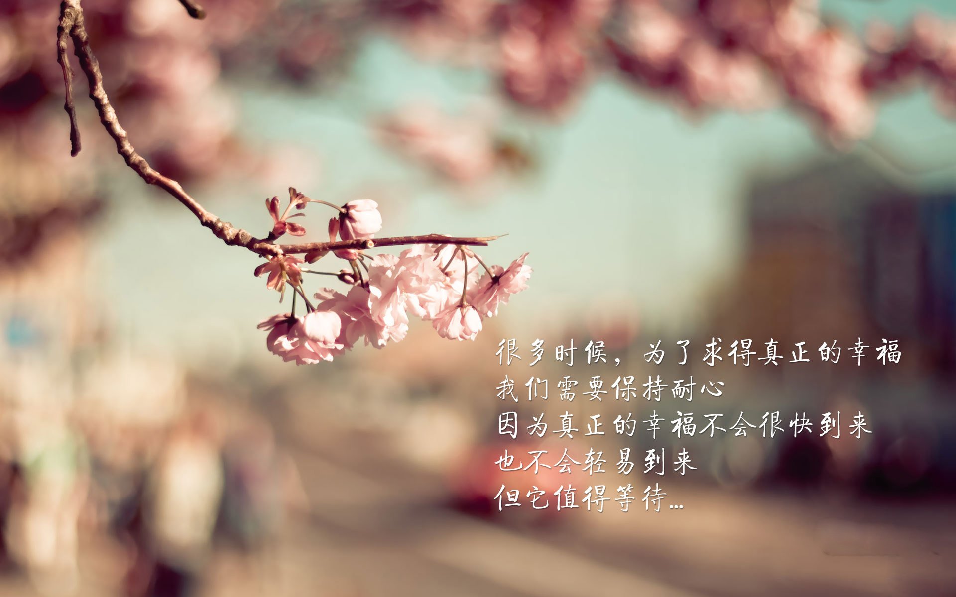 中国足球联赛建立青训球员发展大数据档案,我国足球青训发展现状