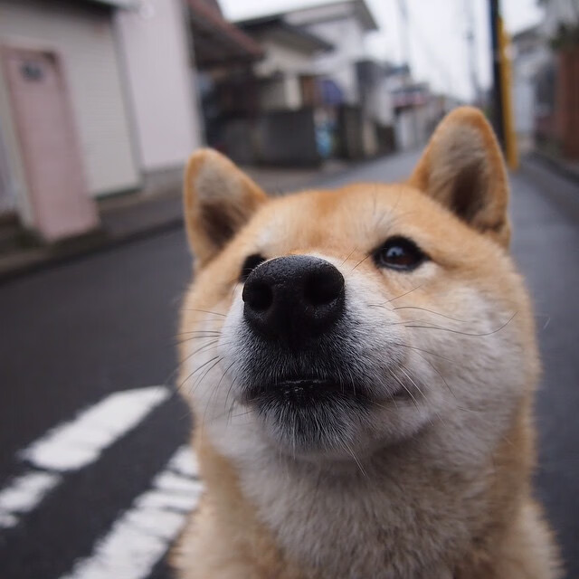九游娱乐-易建联退役纪念赛众星云集致敬中国篮坛传奇，易建联退役了吗cba联赛