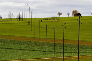九游娱乐(jiuyou)官方网站-球员体能负荷评估工具上线助力教练科学制定训练计划，体育负荷强度